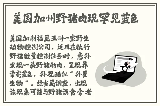 我的小姨妈在线免费观看
