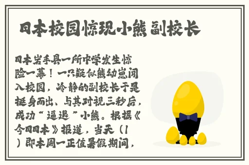 无忧国际wy3335